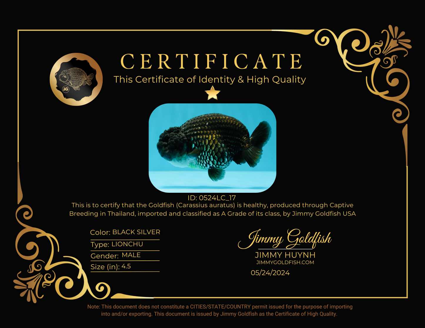 León de plata y negro de calidad A, 4,5 pulgadas, n.º 0524LC_17