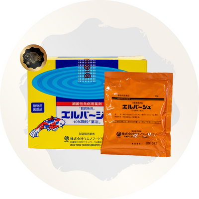 FREE SHIPPING Set of 5 Elbagin Powder 50g ( Yellow Powder ) Tetra Japanese