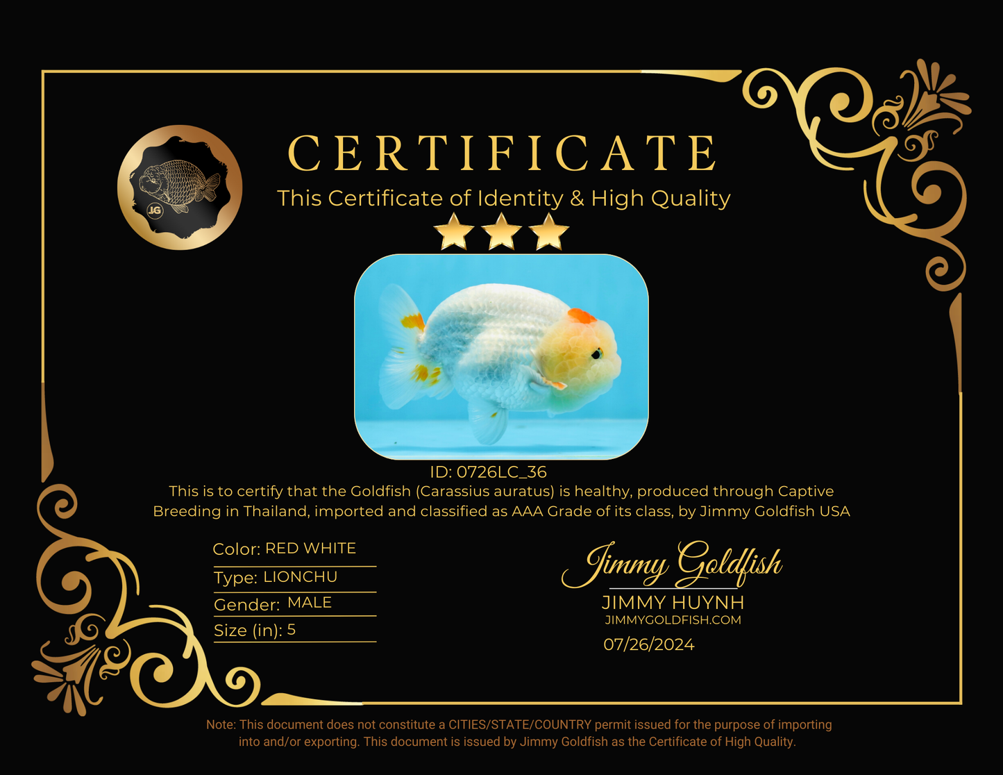 Lápiz labial de grado AAA, rojo, blanco, LionKing, 5 pulgadas, n.° 0726LC_36