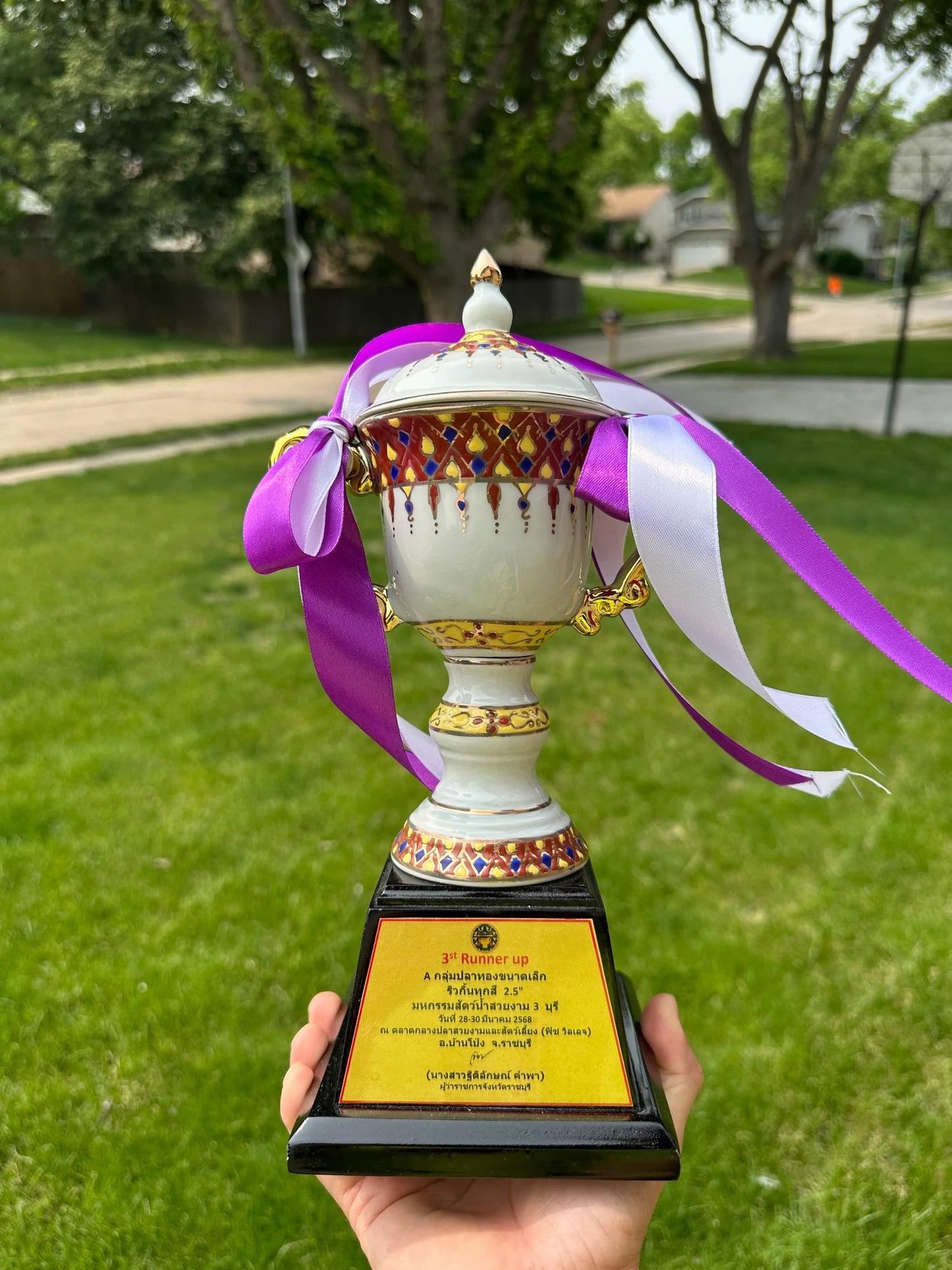 Trophy Present Free to Customer