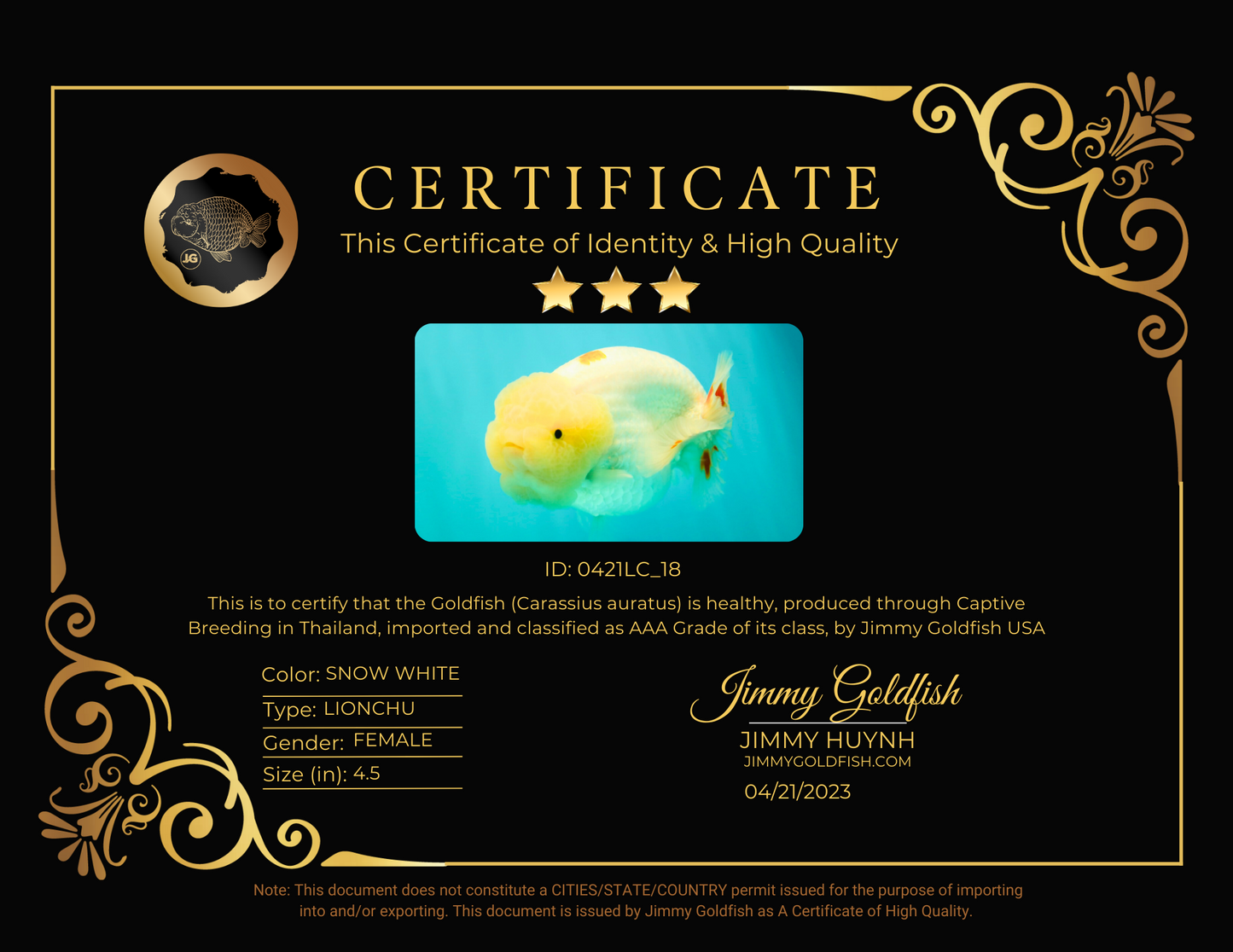 Tête de citron de qualité AAA Blanche-Neige LionQueen 4,5 pouces #0421LC_18