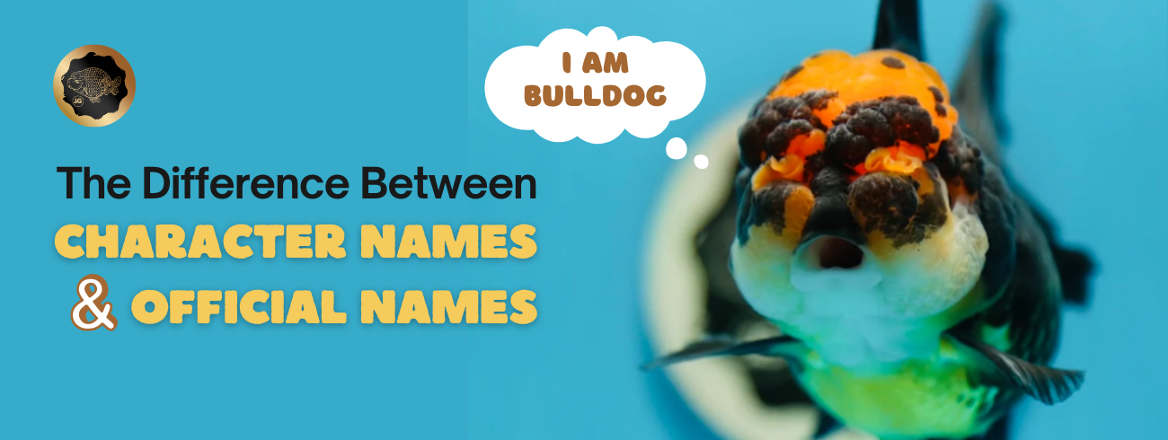 Understanding the Difference Between Character Names and Official Names at Jimmy Goldfish