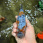 SPECIAL Calico Blue Base Ranchu Male 5.5 Inches #100226RC_20