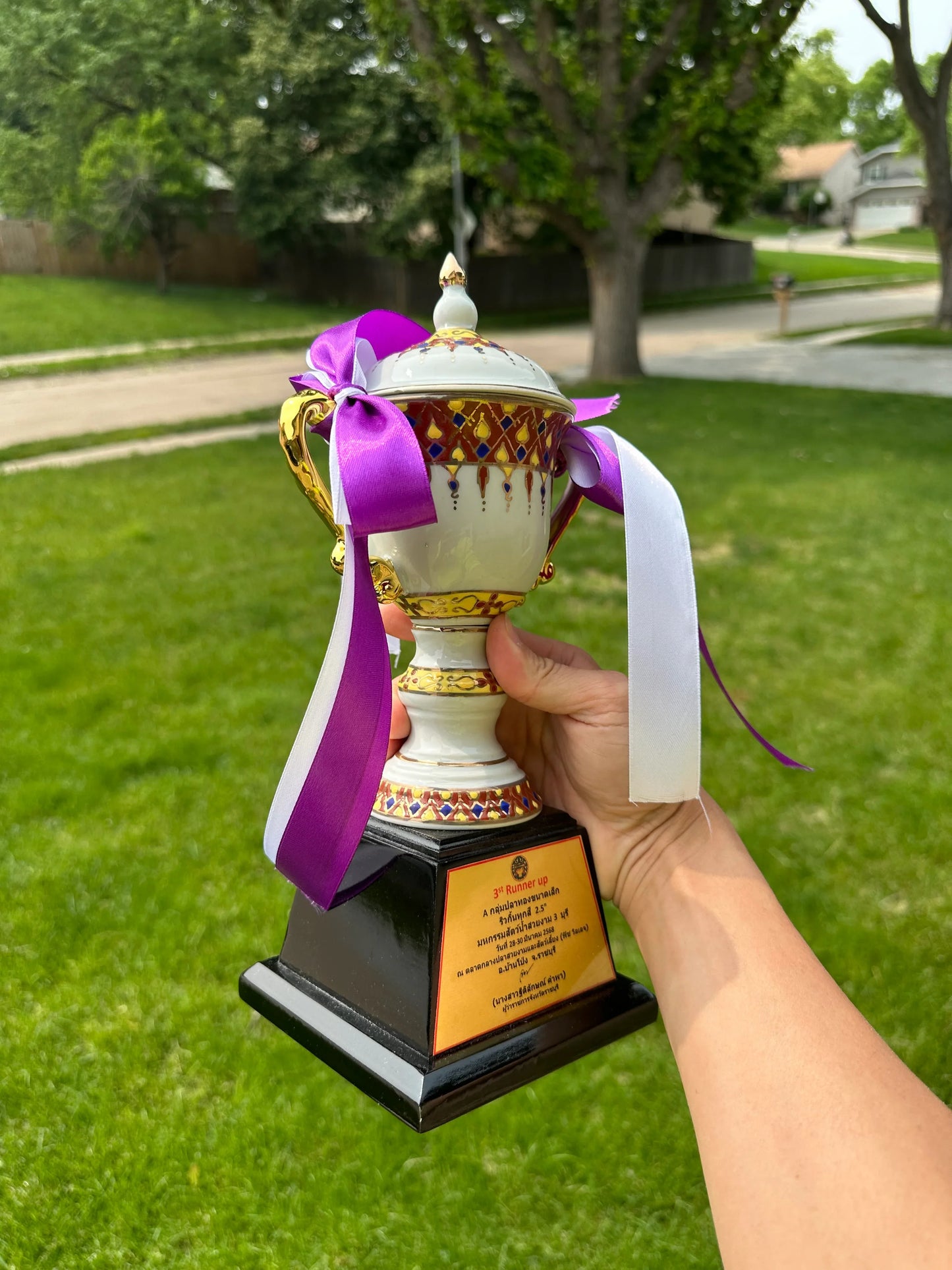 Trophy Present Free to Customer