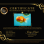 A Grade Jade Head Sakura Oranda Male 6-6.5 inches #082826OR_01