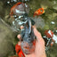 FLUFFY AAA Grade Calico Kirin Oranda Male 7 inches #100926OR_09