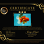 TOMATO AAA Grade Jumbo Broadtail Red Oranda Male 8.5-9 inches #072426OR_03