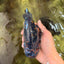 Tiger Ranchu Female 6 inches #100926RC_32