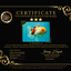CHUNKY AAA Grade Sakaru Oranda Male 6 inches #092526OR_03