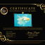 MASHMALLOW A Grade White Oranda Male 5.5-6 inches #091826OR_05