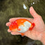 A Grade Red White LionKing 4.5 inches #070326LC_36