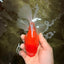 A Grade Red White Oranda Male 6-6.5 inches #100926OR_25