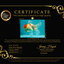 SPECIAL A Grade Tancho Sakura Oranda Male 5.5-6 inches #073126OR_09