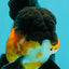 BATMAN Apache Oranda Male 5 inches #050826OR_03