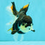 A Grade Tricolor Oranda Female 5.5 inches #081526OR_27