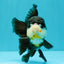 FLUFFY Panda Oranda Male 5 inches #032026OR_11