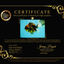A Grade Tiger Oranda Female 7-7.5 inches #071026OR_04