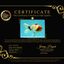 A Grade Sakura Oranda Male 6.5 inches #071726OR_24