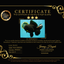 KING KONG AAA Grade Black Oranda Female 8 inches #100926OR_11