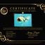 A Grade Two Face Marble Oranda Male 6-6.5 inches #072426OR_11