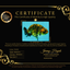 A Grade Strong Body Structure Tiger Ranchu Female 5 inches #061926RC_10
