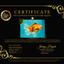 A Grade Red White Oranda Male 6.5 inches #082826OR_11