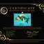 A Grade Tiger Ranchu Female 5-5.5 inches #073126RC_12