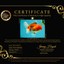 A Grade Red White Oranda Male 5.5 inches #080726OR_12