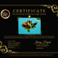 A Grade Tiger Oranda Female 5.5 inches #061926OR_28
