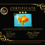AAA Grade Red Oranda Female 6.5 inches #071026OR_24