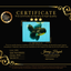 BATMAN AAA Grade Kirin Oranda Male 6.5 inches #080726OR_14