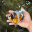 Calico Yuanbao Male 4.5-5 inches #071026YB_13
