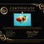 A Grade Sakura Oranda Male 6.5-7 inches #080726OR_15