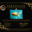 A Grade Sakura Oranda Male 6-6.5 inches #073126OR_17