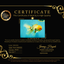 A Grade Sakura Oranda Male 7 inches #080726OR_18