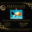 A Grade Diamond Scale Sakura Oranda Male 6.5 inches #072426OR_19