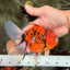 A Grade Marble Oranda Male 6 inches #072426OR_14