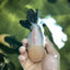 Panda Oranda Female 5 inches #120624OR_12