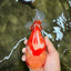 SUPER CUTE AAA Grade Strong Body Structure Kohaku Red White Yuanbao Male 6 inches #092526YB_12