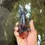 A Grade Tiger Oranda Female 5.5 inches #090426OR_07