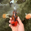 A Grade Tiger Oranda Male 5.5 inches #062626OR_26