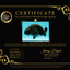 A Grade Black Ranchu Male 5-5.5 inches #071726RC_07