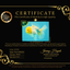A  Grade White Oranda Male 6-6.5 inches #071026OR_27
