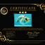 AAA Grade White Tiger Blue Base Ranchu Female 4.5 inches #062626RC_10