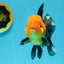 AAA Grade Red Head Apache Oranda Male 5-5.5 inches #112924OR_20