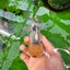 Oranda macho de cabeza de limón de grado A de 5 pulgadas n.° 0830OR_22