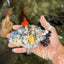 A Grade Tricolor Tiger Ranchu Female 5 inches #080726RC_28