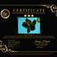 GODZILLA AAA Grade Black Oranda Male 6 inches #100926OR_24