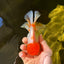 A Grade Chubby Tricolor Red Head Oranda Male 4.5-5 inches #1018OR_21