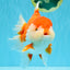 SUPER WEN A Grade Red White Oranda Female 7.5 inches #040326OR_23